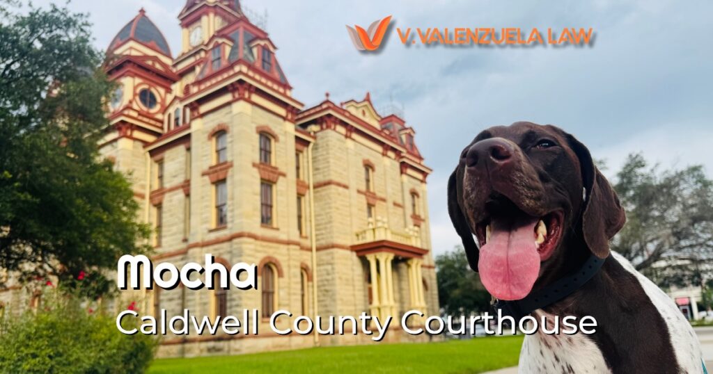 Historic Caldwell County Courthouse exterior with a large dog in the foreground; overlay reads 'Mocha Caldwell County Courthouse' and the V. Valenzuela Law logo.